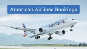 American Airlines bookings